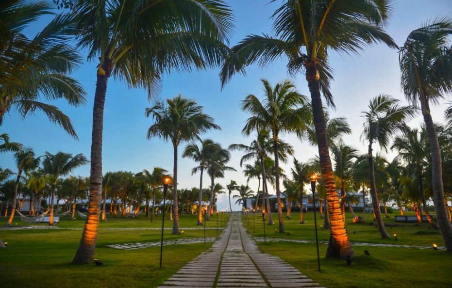 The Cove Eleuthera